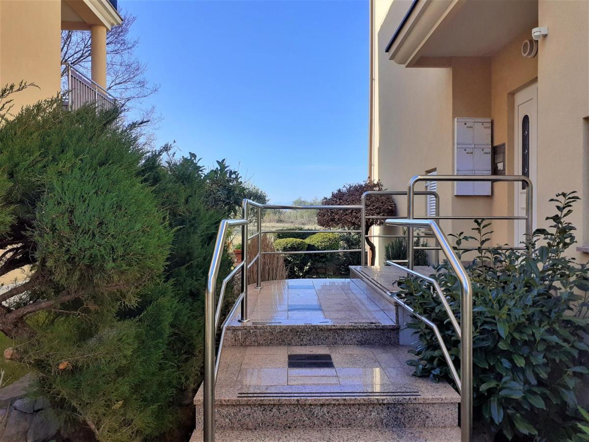 Camellia Apartment